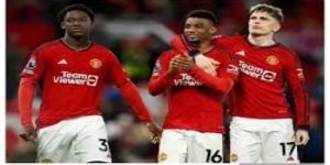 KOK体育真人娱乐全攻略